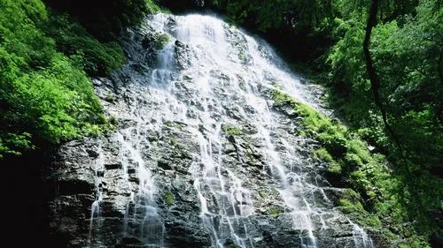 高标准高性能